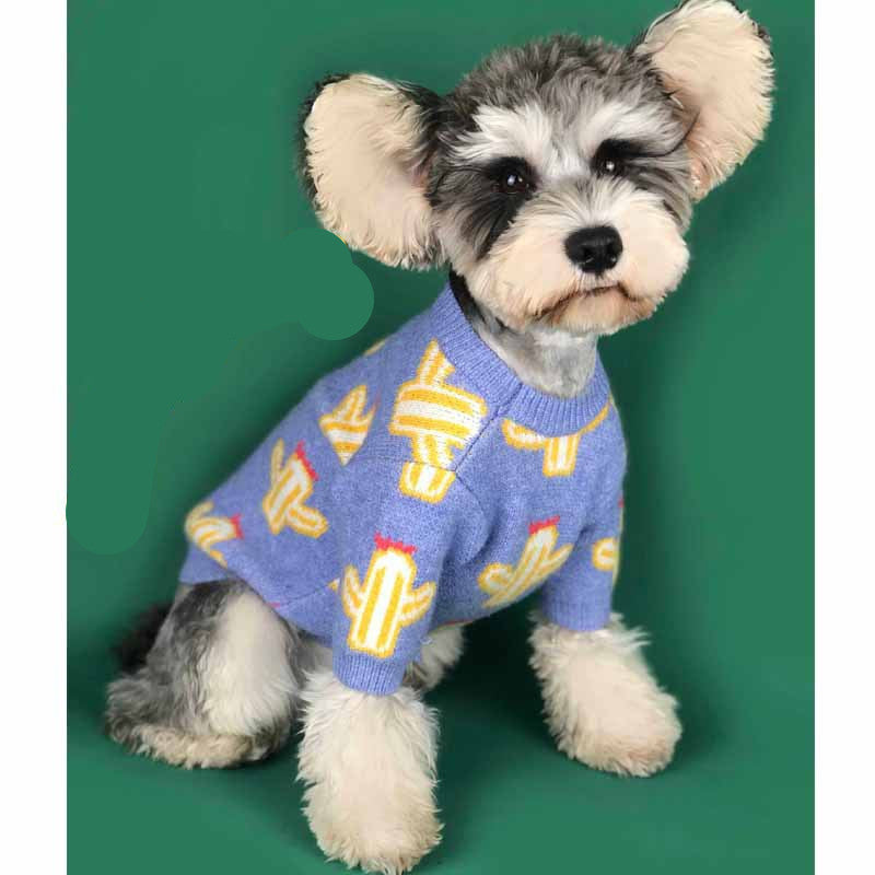 The Adorable Pet Cactus Sweater: A Must-Have for Your Furry Friend
